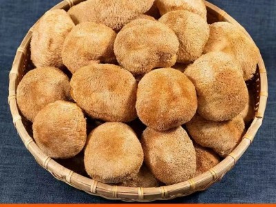 猴头菇干货河南特产农家自产食用菌养胃一件代发包邮图3