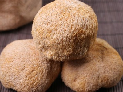 猴头菇干货河南特产农家自产食用菌养胃一件代发包邮图2