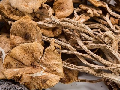 古田特产茶树菇开伞商用农家自种无硫熏食用菌爽脆嫩香煲汤包邮图4