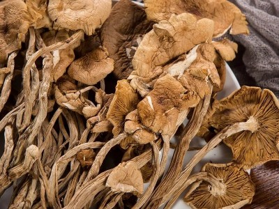 古田特产茶树菇开伞商用农家自种无硫熏食用菌爽脆嫩香煲汤包邮图2
