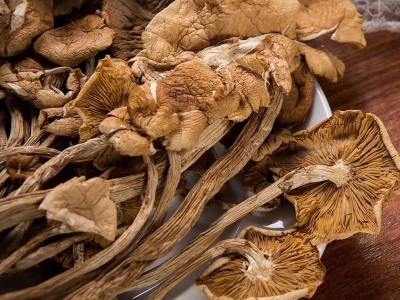 古田特产茶树菇开伞商用农家自种无硫熏食用菌爽脆嫩香煲汤包邮图3