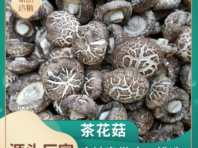 河南香菇基地供应茶花菇 麻花菇 白花菇 板菇 黑面菇等香菇全系列图2