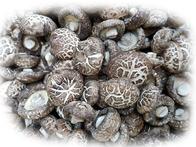河南香菇基地供应茶花菇 麻花菇 白花菇 板菇 黑面菇等香菇全系列图5