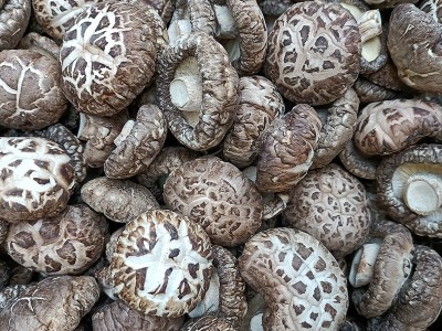 河南土特产干制花菇 规格齐全 礼品香菇花菇 出口级内销级 500g图3