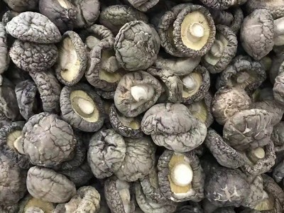 河南香菇产地大量供应干制香菇 规格齐全 2-3 3-4 4-5 5以上 通货图2