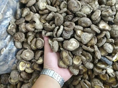 河南香菇产地大量供应干制香菇 规格齐全 2-3 3-4 4-5 5以上 通货图3