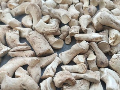 产地供应双剪香菇脚 包子饺子馅料香菇酱素食专供图4