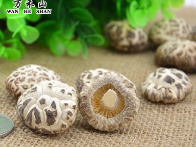湖北特产白花菇随州香菇干花菇500G图4