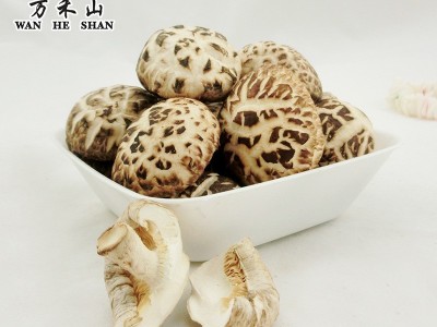 湖北特产白花菇随州香菇干花菇500G图2