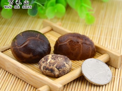 随州香菇湖北土特产干香菇茶花菇500G图2