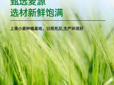 自磨面粉批发小麦面粉10kg家用通用全麦粉东北小麦面粉批发图3