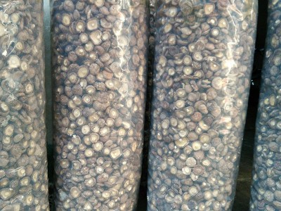 干香菇西峡香菇剪脚无根肉厚小香菇干货冬菇特产新货批发产地直发图2