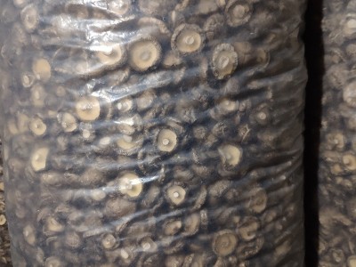 干香菇西峡香菇剪脚无根肉厚小香菇干货冬菇特产新货批发产地直发图5