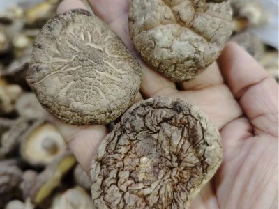3－4干香菇厂家干货批发 湖北干冬菇 源产地香菇食用菌干货出口图4