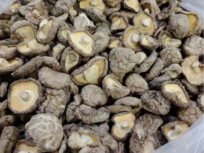 3－4干香菇厂家干货批发 湖北干冬菇 源产地香菇食用菌干货出口图3
