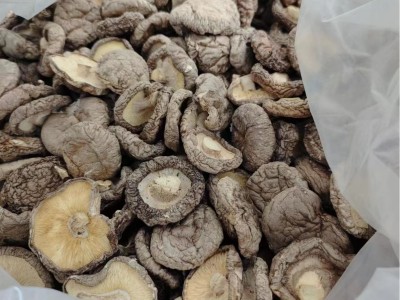 3－4干香菇厂家干货批发 湖北干冬菇 源产地香菇食用菌干货出口图2