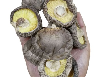 3－4干香菇厂家干货批发 湖北干冬菇 源产地香菇食用菌干货出口图5