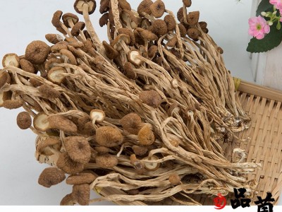 浙江庆元品菌茶树菇团购批发不开伞素菇土特产火锅食材干货图2