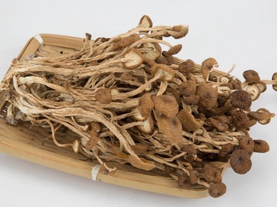 浙江庆元品菌茶树菇团购批发不开伞素菇土特产火锅食材干货图5