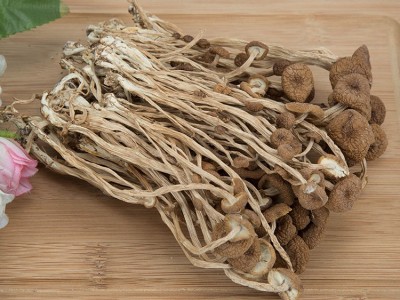 浙江庆元品菌茶树菇团购批发不开伞素菇土特产火锅食材干货图4