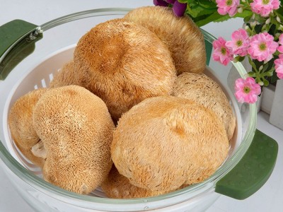 浙江庆元品菌土特产猴头菇干货新鲜食用蘑菇团购一件代发图3