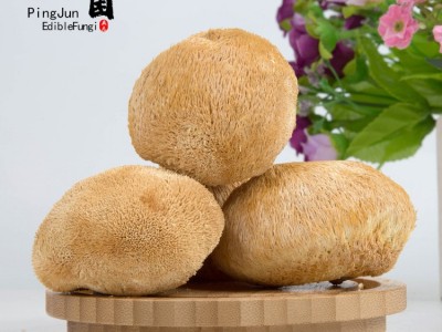浙江庆元品菌土特产猴头菇干货新鲜食用蘑菇团购一件代发图4