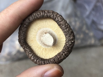 新香菇干货产地批发直销泌阳县泌园土特产黑面干香菇蘑菇一件代发图2