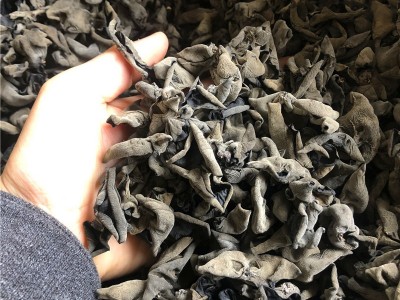 东北特产黑木耳干货500g批发非小碗耳产地直发秋木耳肉厚无根免摘图2