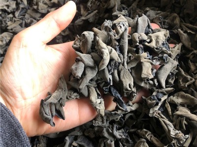 东北特产黑木耳干货500g批发非小碗耳产地直发秋木耳肉厚无根免摘图3