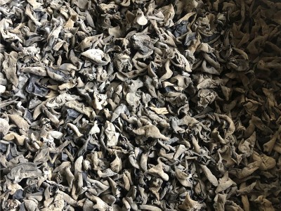 东北特产黑木耳干货500g批发非小碗耳产地直发秋木耳肉厚无根免摘图5