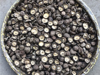 西峡香菇干货500g产地直发冬厚菇薄菇香信批发散装香菇干剪脚新货图3