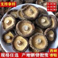 新货西峡香菇干货500g饭店餐饮散装批发无根冬菇黄焖鸡花菇香菇干