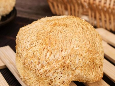 产地直销古田猴头菇干货散装批发产地直销猴头菇500g食用菌批发发图4