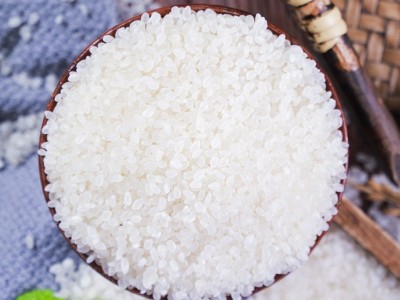 东北小町米批发5kg 25kg2023年新米批发食堂用米会销礼品米批发图4