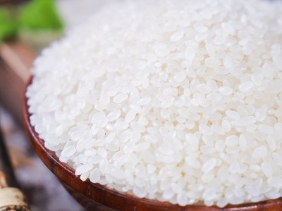 东北小町米批发5kg 25kg2023年新米批发食堂用米会销礼品米批发图2