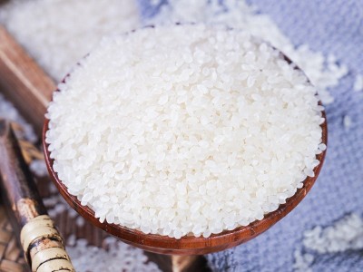 东北小町米批发5kg 25kg2023年新米批发食堂用米会销礼品米批发图3
