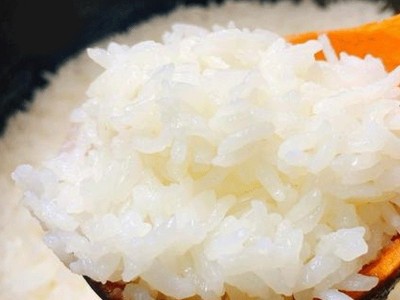 东北黑龙江稻香米礼盒10斤精品当季大米礼盒企业福礼团购年礼佳品图5
