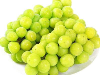 新疆阳光玫瑰葡萄应季新鲜水果现摘青提子胜无核白玻璃脆顺丰包邮图5