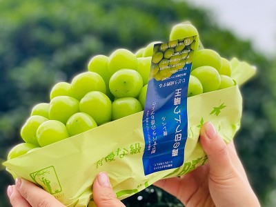 顺丰包邮5.5斤礼盒装云南青印晴王阳光玫瑰青提葡萄新鲜水果香印图4