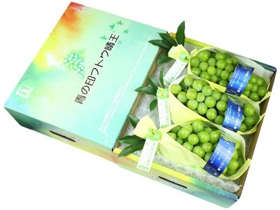 顺丰包邮5.5斤礼盒装云南青印晴王阳光玫瑰青提葡萄新鲜水果香印图5