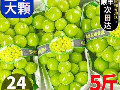 阳光玫瑰葡萄晴王水果新鲜应当季整箱礼盒香印青提子2斤1斤顺图2