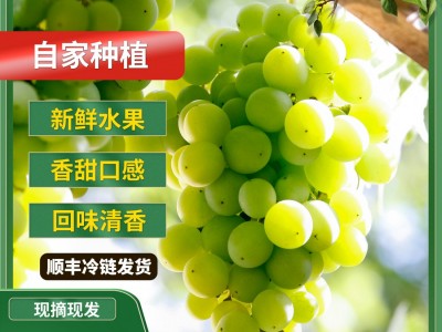 阳光玫瑰晴王葡萄当季水果整箱香印青提子新鲜无籽包邮顺丰快递图3