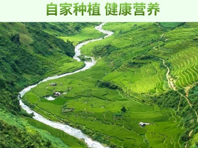 10斤现货晴王云南阳光玫瑰青提子葡萄新鲜无籽水果非巨峰日本香印图2