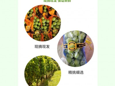 10斤现货晴王云南阳光玫瑰青提子葡萄新鲜无籽水果非巨峰日本香印图5