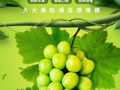 阳光玫瑰晴王葡萄当季水果整箱香印青提子新鲜无籽包邮顺丰快递图5