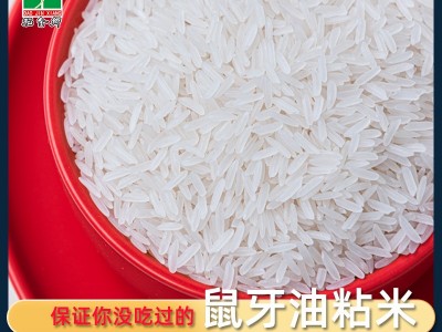 稻金乡5kg软鼠牙广西香米10斤籼米油粘新米丝苗米南方大米长粒香图3