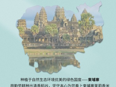 芭迈香柬埔寨香米500G原粮进口大米猫牙长粒香炒饭煲仔饭真空包装图2