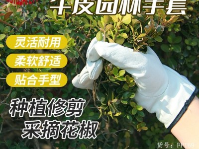 牛皮园林防护手套头层牛皮户外种植修剪采摘灵活舒适柔软劳保手套图2