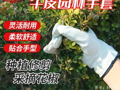 牛皮园林防护手套头层牛皮户外种植修剪采摘灵活舒适柔软劳保手套图3