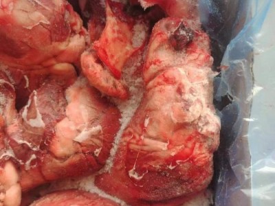 冷冻猪心 生猪心脏 无淤血饭店食材 故乡食品厂家直供图5